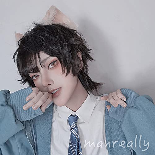 12.6 Inch Natural Black Wig Japanese Style Harajuku Male Short Wigs Boys Curly Hair Fluffy Wig Cosplay Wigs Brother Handsome Guy Wig, Heat Resistant Synthetic Fiber, Wig Cap Included, No Headwears #TOP5