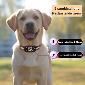 GPS Wireless Dog Fence & Electronic Dog Training Collar, Adjustable Range 49-6561ft, 3 Training Mode, Waterproof & Rechargeable Receiver, Pet Boundary Containment System for Outdoor,B