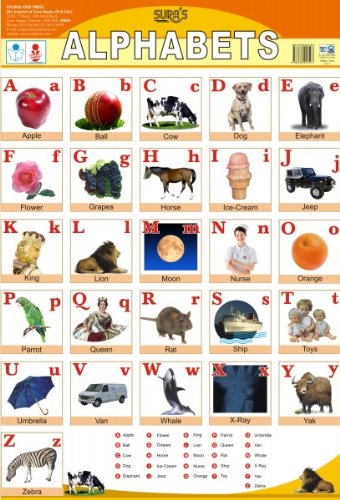 Alphabets : Amazon.in: Books