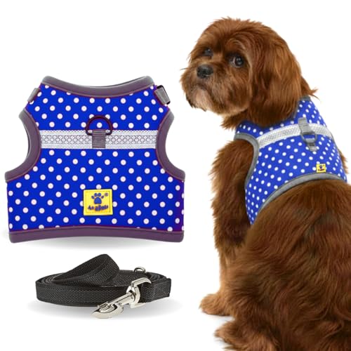 Image of A+a Pets' Retro Vest Harness & Leash Set | No Pull, No Escape, Breathable, Cute Combo for Puppies, Small Dogs, Cats (Polka Blue, XL)