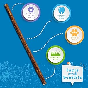 Jackpup thin dog bully sticks odor free bully sticks for dogs healthy dog treats bully sticks for small dogs beef dog chews pizzle chew sticks for dogs 12 inch thin bully stick 5 pack   cucciolini doodles
