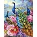 YINGXIN134 Puzzle per Adulti Puzzle da 500 Pezzi 500 Pezzi per Adulti Puzzle con Tre pavoni Giochi educativi Decorazione per la casa Puzzle-500 Pezzi (52x38 cm)