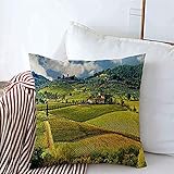 New-WWorld-Shop Kissenbezüge Weinberge Reiseziele Landschaft Traube Toskana Weinberg Landschaften Weinbereitung Italien Landschaftsbau Kissenbezüge