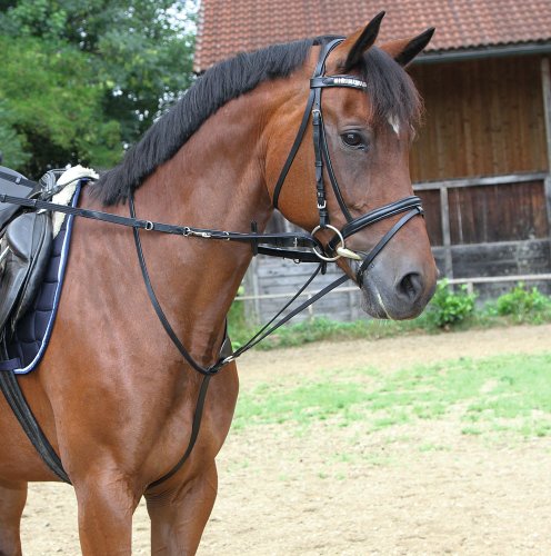 Kerbl 323595 Thiedemannzügel, schwarz, Größe Pony