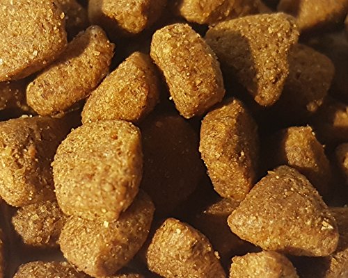 CRISS POLLAME 10 kg - Croccantini per Gatti Adulti...