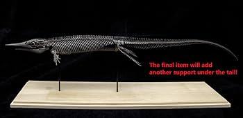 Amazon | VWUVWU シンプサウルス 恐竜 絶滅 古生物 化石 リアル