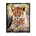 Stupell Industries Baby Lion Resting Animal Nature Framed Floater Canvas Wall Art, Design by Ashley Aldridge
