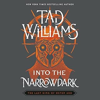 Into the Narrowdark Audiolibro Por Tad Williams arte de portada