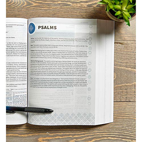 CSB Life Connections Study Bible, Trade Paper: For Personal or Small Group Study