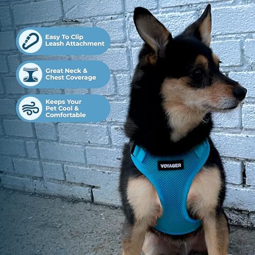 Voyager Step-in Lock Pet Harness - All Weather Mesh, Adjustable Step in Harness for Cats and Dogs by Best Pet Supplies - Turquoise, XS - 2