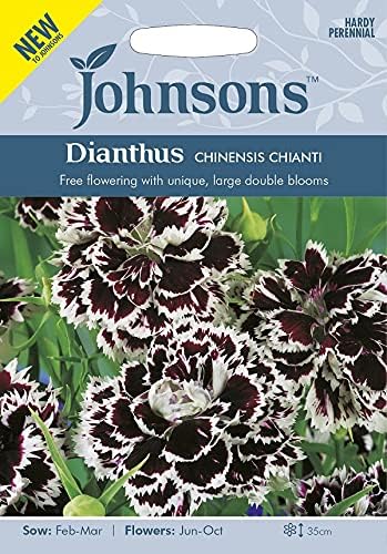 Amazon Co Jp 輸入種子 Johnsons Seeds Dianthus Chinensis Chianti ダイアンサス なでしこ チャイニエンシス キャンティ ジョンソンズシード Diy 工具 ガーデン