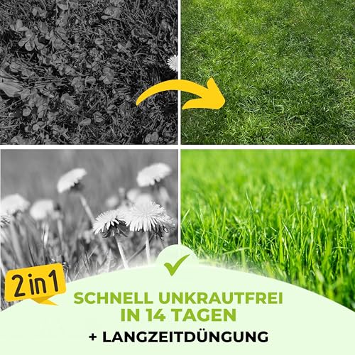 TerraUno Rasendünger mit Unkrautvernichter extra stark, 100 Tage Langzeitwirkung, 10 kg für 500 m², gegen Löwenzahn, Klee uvm., Rasenunkrautvernichter mit Dünger für saftiges Grün im Frühjahr & Sommer 2