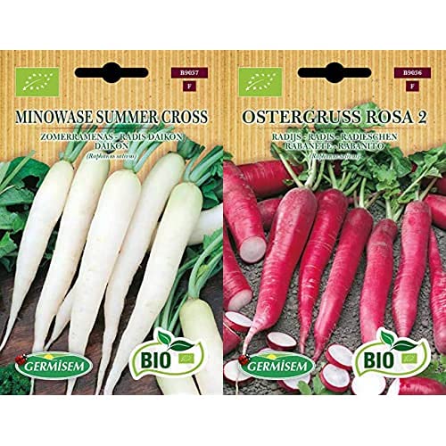 Germisem Bio Graines Radis daikon MINOWASE SUMMER CROSS+OSTERGRUSS ROSA 2