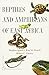 Reptiles and Amphibians of East Africa (Princeton Pocket Guides, 5)