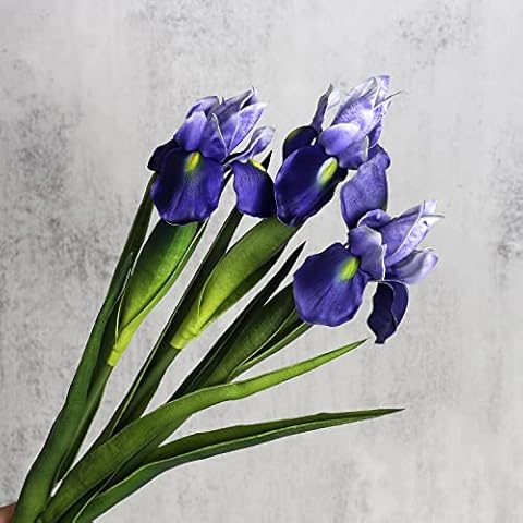 huaao 3PCS Flores Artificiales de Iris Tacto Real Cover