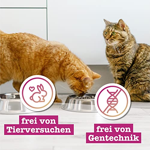 catz finefood Meatz Katzen Leckerlies Essential Mix - knusprige Streifen aus den beliebtesten Fleischsorten - Katzensnack für Allergiker ohne Zucker, getreidefrei (1 x 45 g) (Packung mit 2)