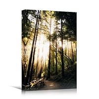 Canvas Wall Art Green Forest Dramatic Forest Landscape Living Room Multicolor Photography Rustic - 12x18 inches