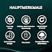Hisense RB440N4ACC Kühl- Gefrierkombination/Total NoFrost/Multiflow 360°/ Flaschenhalter/Holiday Mode/FreshZone/ 336L(178+78)/ Essential/BxHxT: 59,5×201,7×57,9 cm/Silber [Energieklasse C]