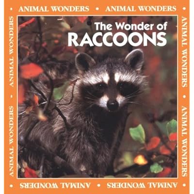 The Wonder of Raccoons
