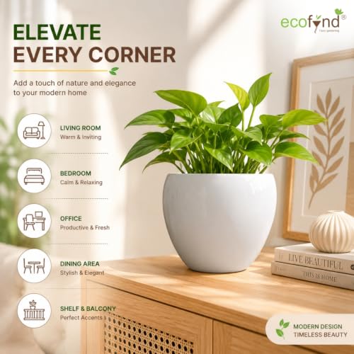 Image of ecofynd 5.1 Inch Ceramic Plant Pots with Drainage Hole, Modern Decorative Clay Flower Pots for Indoor Plants, Decorative Tabletop Planters for Home, Office, Living Room, Bedroom & Shelf (CPOT047-WHT)