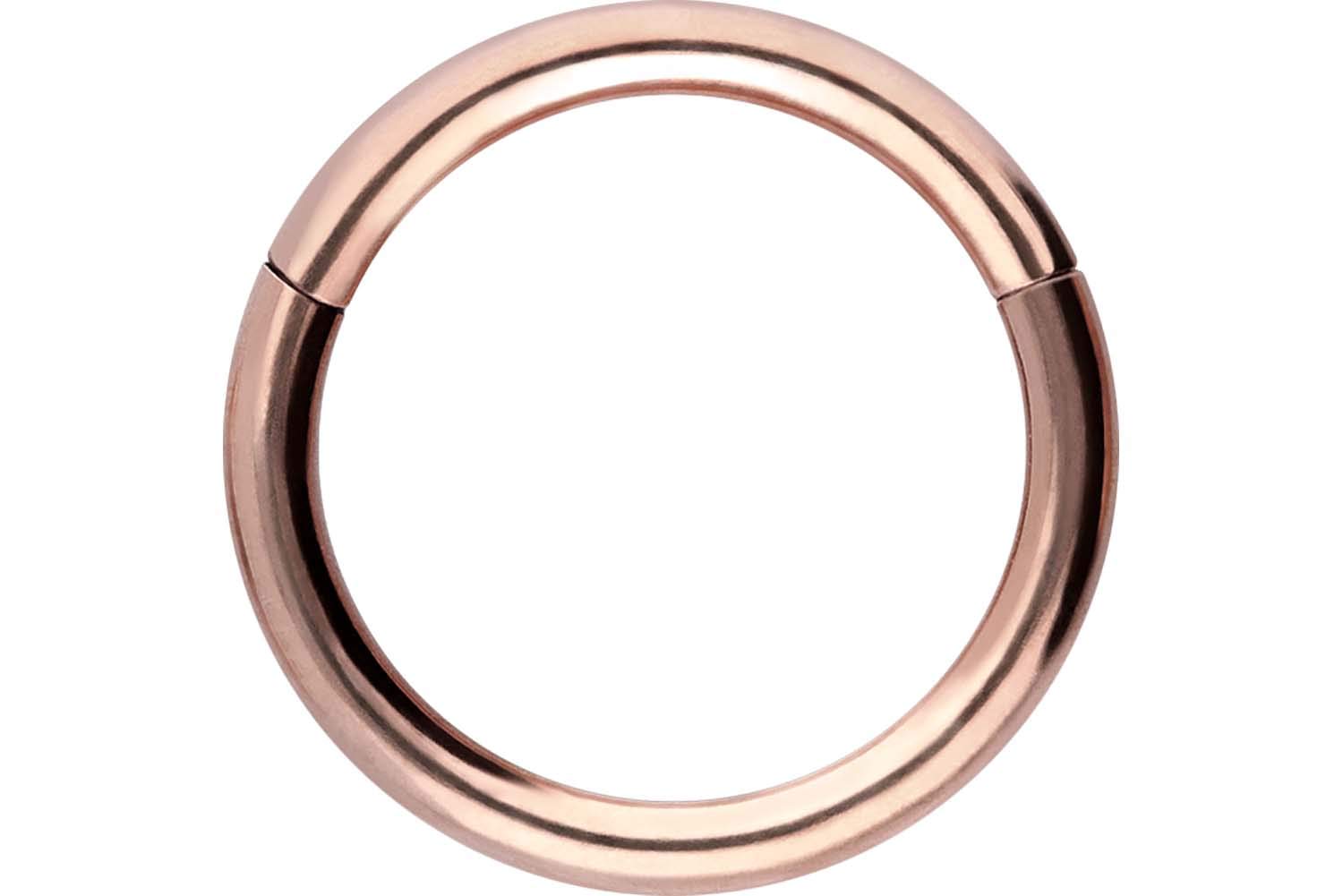 PIERCINGLINE Anillo segmento Clicker de acero quirúrgico – Piercing en oro, plata, rosa, negro o azul – para nariz, tabique, oreja, hélice o tragus — view 112