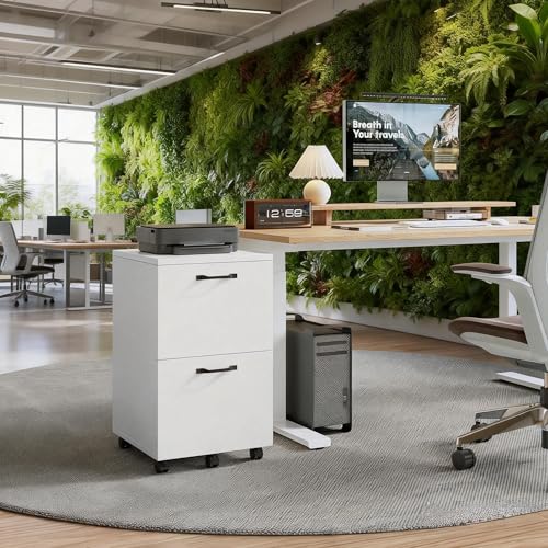 Image of 2 Drawer Filing Cabinet, Wood Rolling Filing Cabinets with Printer Stand, Under Desk Storage Lockable Wheels, Home Office Organizer for A4 Letter Legal Size Documents,White