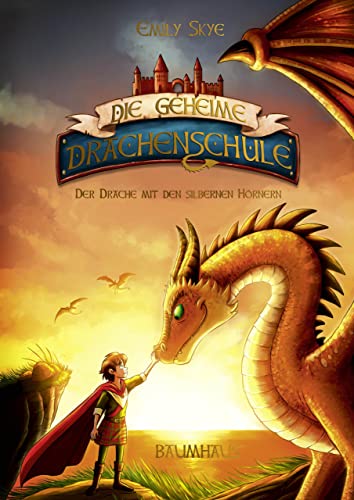 Die geheime Drachenschule - Der Drache mit den silbernen Hörnern: Band 2 (German Edition)
