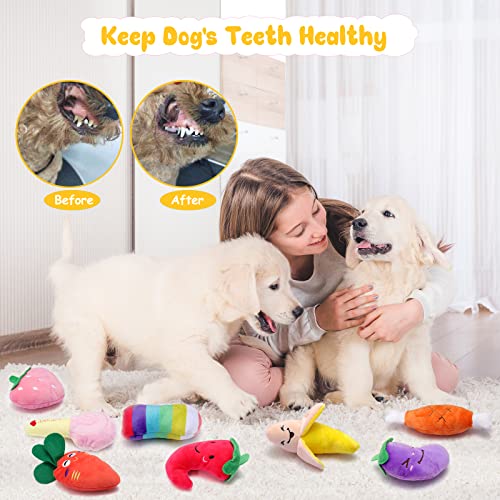 LOYEE 14 Pack Puppy Toys, Squeaky Plush Dog Toys for Small Dogs, Cute Puppy Teething Chew Toy, Indestructible Ropes Toys… - Image 6