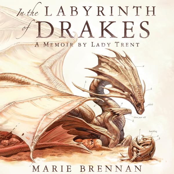 Cover art for In the Labyrinth of Drakes