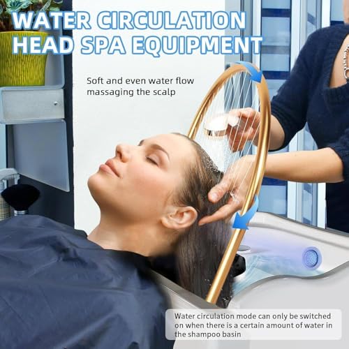 Equipo De SPA Portátil con Cabezal Termostático Y Circulación De Agua para Lavabo De Salón, Depósito De Agua De 60 L, Diseño De Arco De 180°, Color Negro (Sin Fumigación).