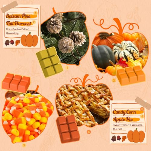 Salubrito Fall Scented Wax Melts thumb #2