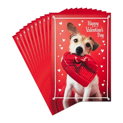 Hallmark Pack of Valentine's Day Cards, Dog with Box of Chocolates (10 Valentine's Day Cards with Envelopes)