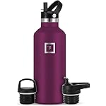 IRON FLASK Camping & Hiking Hydration Flask with Straw, BPA-Free Insulated Stainless Steel Sports Water Bottle - 32 oz Burgundy