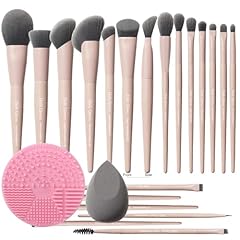20pcs brush set with cleaner