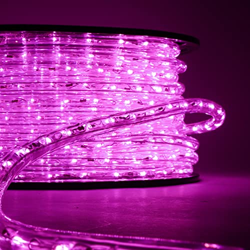 Luccika Tubo Luminoso a led Rosa professionale da 50 Metri tagliabile pronto all'uso con accessori IP67 per uso interno ed esterno