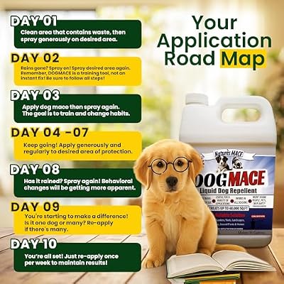 Natures MACE Dog Mace, Dog Repellent for Yard, Potty Training Tool Spray, Indoor & Outdoor, Pee Deterrent, Safe Around Kids, Pets, Garden & Plants, 1 Gallon Concentrate, Treats 48,000 Sq. Ft.