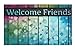 Produktbild Schmutzfangmatte / Fußmatte / Fussmatte / Fußabstreifer / Fußabtreter / Schmutzmatte Modell Welcome Friends / grau - blau - witzig lustig 3D 3 D Optik Größe ca. 45 x 75 cm / Ecomat-Fußmatte / sehr hochwertige Fußmatte