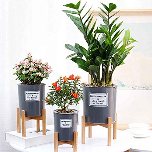 beiyoule Soporte para plantas, soporte de madera para macetas de flores para decoración de interiores y exteriores, moderno (maceta no incluida)