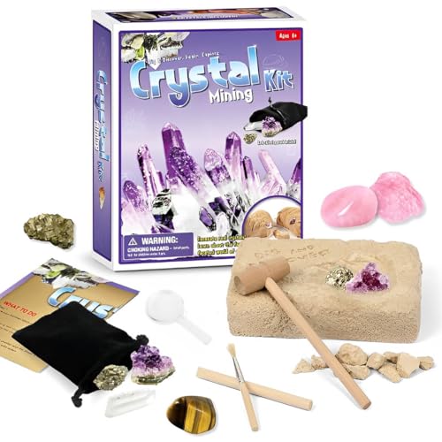 LiRiQi Kit de Fouille de Pierres Précieuses et de Cristaux pour E...