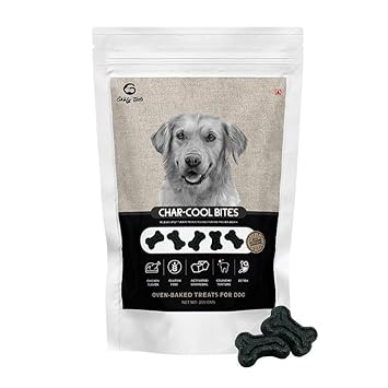 Goofy Tails Char-Cool Detox Biscuits for Puppies and Dogs | Oven Baked Gluten Free Biscuits | Activated Charcoal & Chicken Flavour Treats | Pack of 1 - 250gms