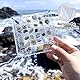 Acrylic Magnetic Seashell Display Box, 36 Gitter Magnetische Muschel-Display-Box, Transparent Acrylic Seashell Storage Box Seashell Diamond Gemstone Beads Storage Display Organizer Box