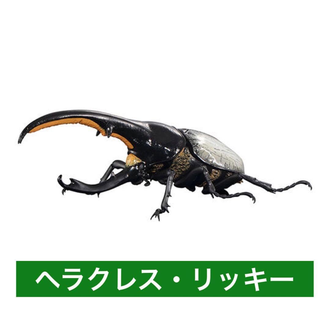 いきもの大図鑑　ヘラクレスリッキー いきもの大図鑑 かぶとむし07 ヘラクレス・リッキー(オレンジ) - メルカリ