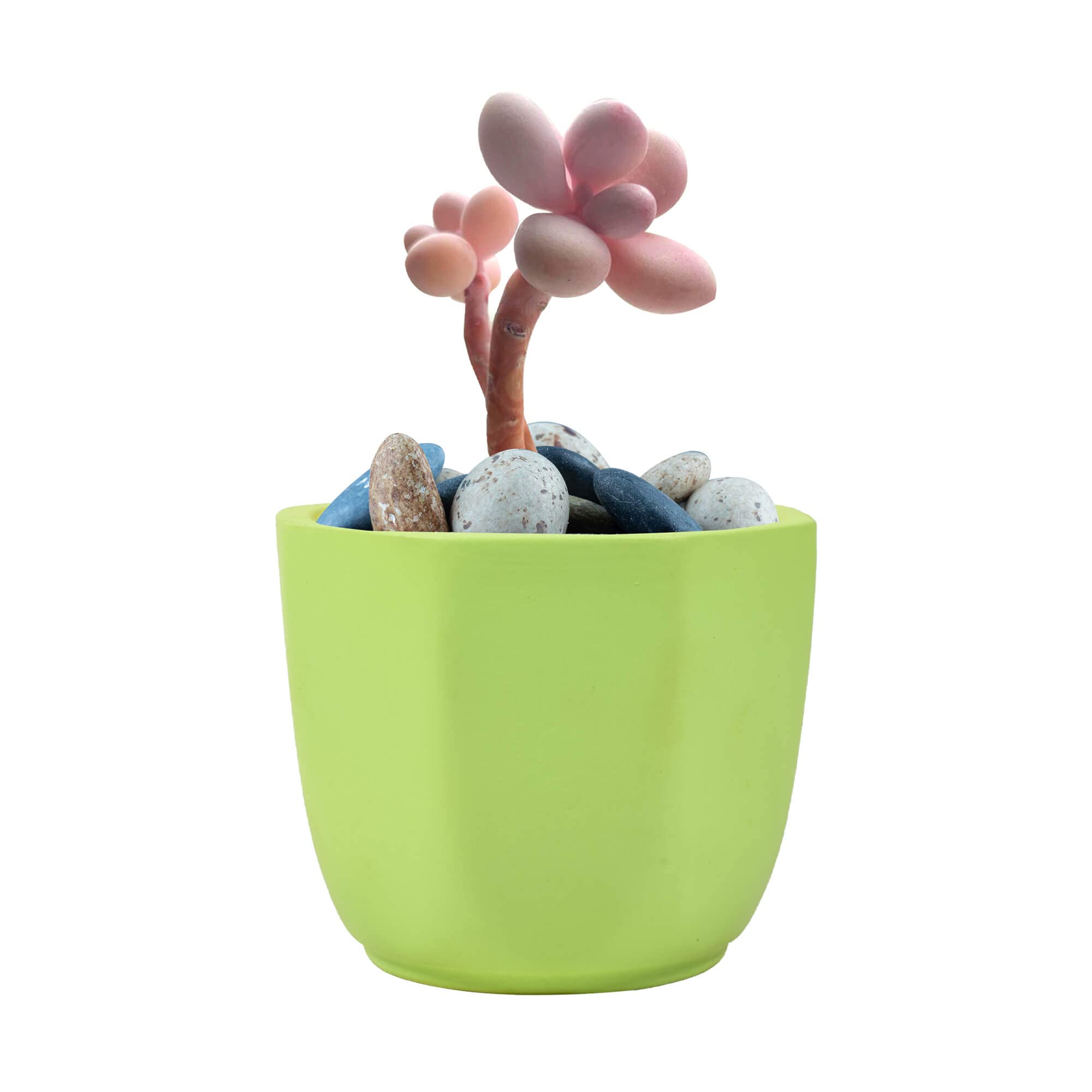 Lasaki Yuri Small Mint Ceramic Pots for Indoor Plants, Planters, Flower, Pots, gamla, Outdoor, Balcony, Home, Garden, Office Decor, Succulent Pot (H - 7.5 X D - 9 cm)(Plants not Included) (B0BMQMP2RW) Amazon Price History, Amazon Price Tracker