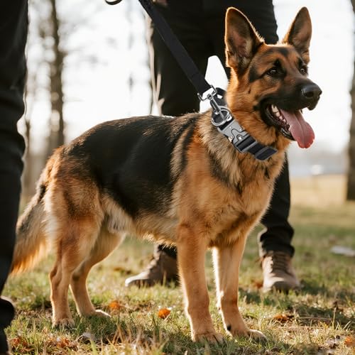 Taktisches Halsband Hund mit Griff & Leine, Hundehalsband Breit Gepolstert mit Metallschnalle, Verstellbar Nylon Dog Collar für Mittlere Große Hunde