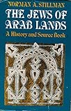 The Jews of Arab lands: A history and source book