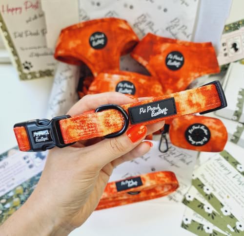 Orange Racer Dog Collar XS