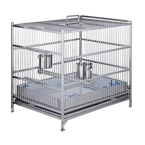  ^BS|[^uXeX|LAOpVo[ o[h nEX LA |[^u