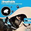 PawPawify-Custom-No-Pull-Dog-Harness-with-Name-and-Phone-Number-Heavy-Duty-Personalized-Pet-Vest-to-Prevent-Tugging-Pulling-or-Choking-Training-and-Walking Custom No Pull Dog Harness with Name