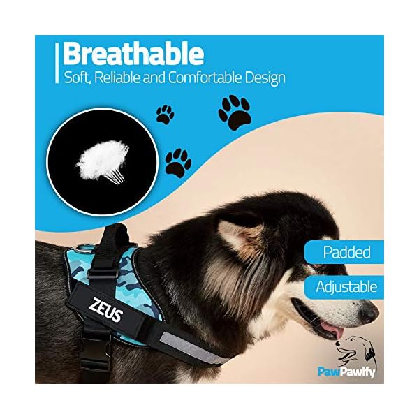 PawPawify-Custom-No-Pull-Dog-Harness-with-Name-and-Phone-Number-Heavy-Duty-Personalized-Pet-Vest-to-Prevent-Tugging-Pulling-or-Choking-Training-and-Walking Custom No Pull Dog Harness with Name