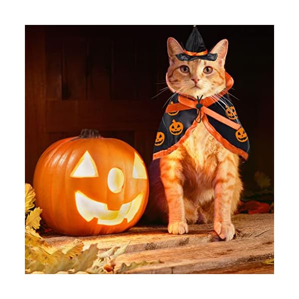 Halloween cat costume cloak witch hat pet accessories halloween adjustable pumpkin pet costume clothes set, halloween pat costume decor cloak for cats dogs animal halloween carnival party supplies - image 6